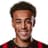 Tyler Adams
